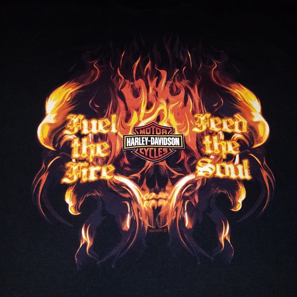 Mens Harley Davidson shirt
